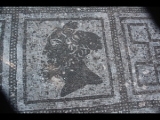 01175 ostia - regio ii - terme delle province - mosaik - ostseite - detail - 8. reihe pos 2 - wind - 2017.jpg